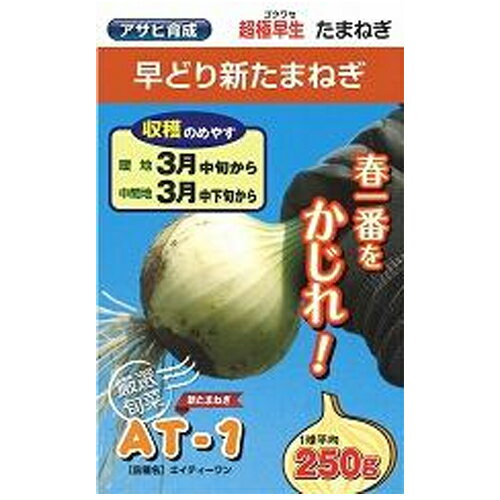 タマネギ スーパーこがね2デシリットル