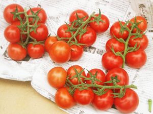 �ܥ���� E22.34745 ) 500γ �ȥޥ� �Ȥޤ� ��̥ȥޥȡڥ��󥶤μ� �� ���� ���ۡ͡��̾�5�� 5�ΤĤ����ϥݥ����10�ܡ�