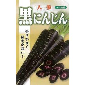 キャロッテ シリーズ 黒にんじん 5千粒コート ニンジン にんじん 人参【フタバ 種 たね タネ】【通常5倍 5のつく日はポイント10倍対象外商品ポイント3倍固定商品】