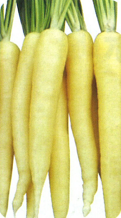 ������åƥ��꡼�� ������5000γ �ͻ� �ˤ󤸤� �ڥե��� �� ���� ���ۡ͡��̾�5�� 5�ΤĤ����ϥݥ����10���оݳ����ʥݥ����3�ܸ��꾦�ʡ�