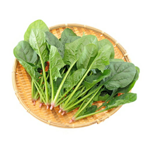 樂天商城 - 天下布武 L1リットル ほうれん草 法蓮草 ホウレンソウ ほうれんそう【小林種苗 種 たね タネ】【通常5倍 5のつく日はポイント10倍対象外商品ポイント3倍固定商品】