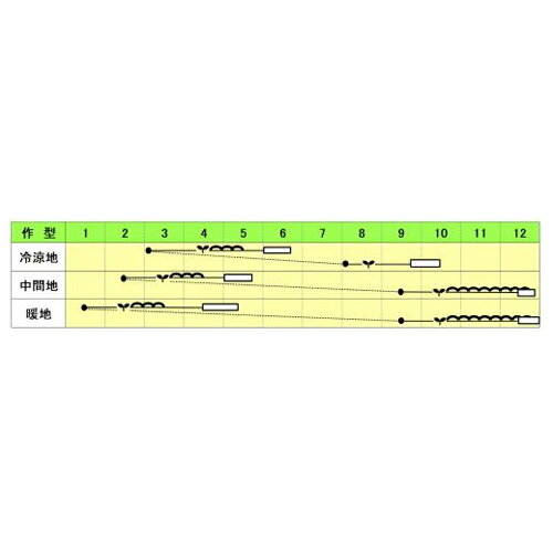 �ե��饪 20ml �쥿�� �꡼�ե쥿�� �ھ��Ӽ��� �� ���� ���ۡ͡��̾�5�� 5�ΤĤ����ϥݥ����10���оݳ����ʥݥ����3�ܸ��꾦�ʡ�