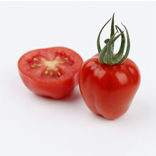 アップルベリー（ミニトマト） 1000粒 トマト とまと ミニトマト【小林種苗 種 た...