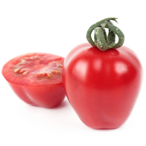 アップルベリープレミアム 100粒 トマト とまと ミニトマト【小林種苗 種 たね タネ】【通常5倍 5のつく日はポイント10倍対象外商品ポイント3倍固定商品】