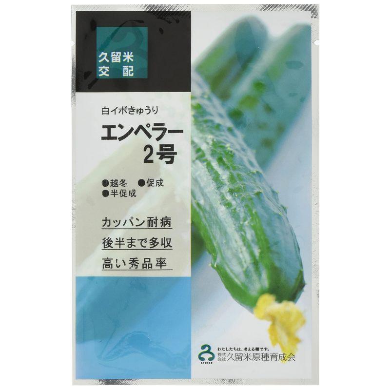 樂天商城 - エンペラー2号 350粒 胡瓜 キュウリ きゅうり【久留米原種育成会 種 たね タネ】【通常5倍 5のつく日はポイント10倍】