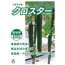 クロスター 100粒 胡瓜 キュウリ きゅうり【久留米原種育成会 種 たね タネ】【通常5倍 5のつく日はポイント10倍】