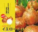 イエロードロップ 20ml 玉ねぎ たまねぎ 玉葱 タマネギ【カネコ種苗 種 たね タネ 】【通常5倍 5のつく日はポイント10倍】