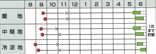 ���������ɥ��å� 2dl �̤ͤ� ���ޤͤ� ��Ǭ ���ޥͥ��ڥ��ͥ����� �� ���� ���� �ۡ��̾�5�� 5�ΤĤ����ϥݥ����10�ܡ�