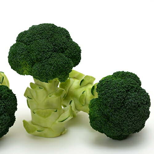 樂天商城 - デリシャスドーム MKS-B107 2000粒 ブロッコリー【ヴィルモランみかど 種 たね タネ】【通常5倍 5のつく日はポイント10倍】