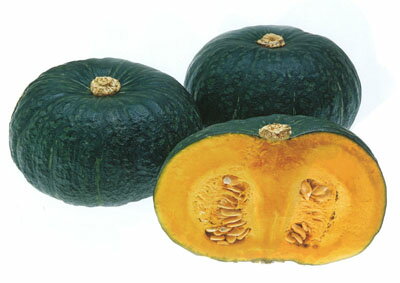 夢浪漫 200粒 南瓜 カボチャ かぼちゃ 武蔵野交配【武蔵野種苗 種 たね タネ 】【通常5倍 5のつく日は..