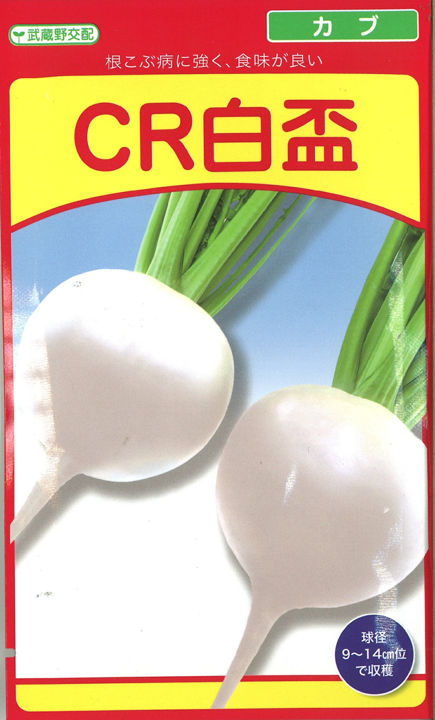 Rakuten - CR白盃 20ml かぶ カブ 蕪 武蔵野交配【武蔵野種苗 種 たね タネ 】【通常5倍 5のつく日はポイント10倍】