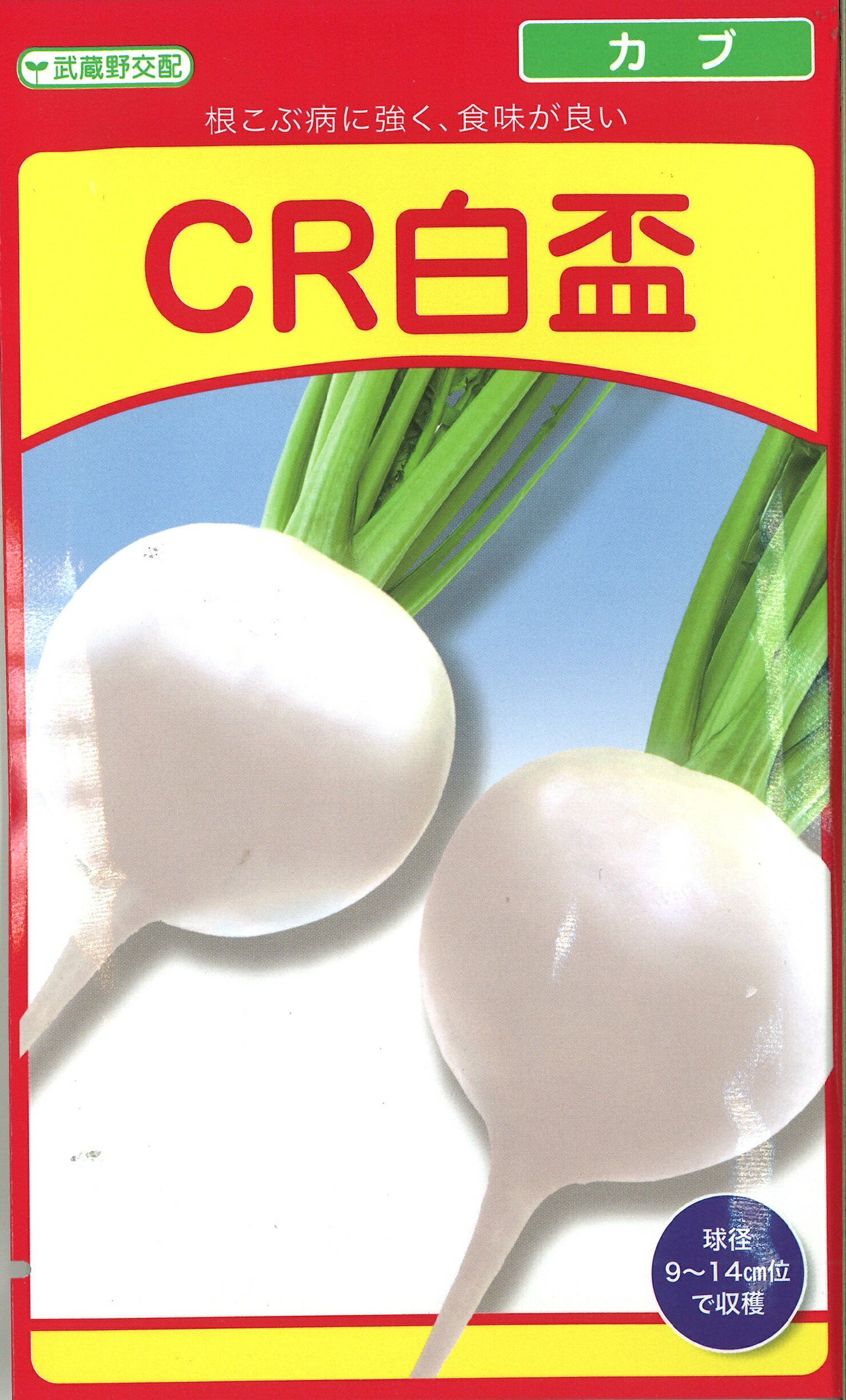 CR白盃 コート5000粒 かぶ カブ 蕪 武蔵野交配【武蔵野種苗 種 たね タネ 】【通常5倍 5のつく日はポイント10倍】