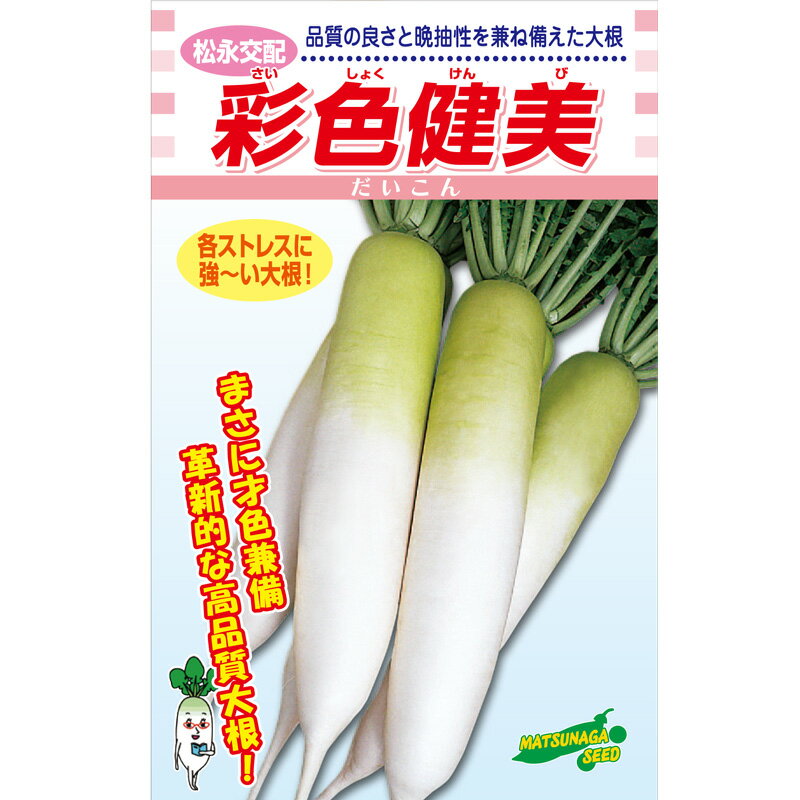 �̿����� 3L������5000γ �纬 �������� �������� ���ʸ��� �ھ��ʼ��� �� ���� ���ۡ͡��̾�5�� 5�ΤĤ����ϥݥ����10�ܡ�