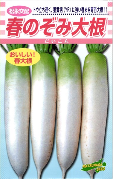 春のぞみ 3Lコート5000粒 大根 ダイコン だいこん 松永交配 【松永種苗 種 たね タネ】【通常5倍 5のつ..