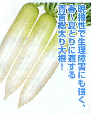 YR˨�ҤӤ�(�⤨�ҤӤ�) ������5000γ �纬 �������� �������� �������� �ڴݼ� �� ���� ���ۡ͡��̾�5�� 5�ΤĤ����ϥݥ����10���оݳ����ʥݥ���...