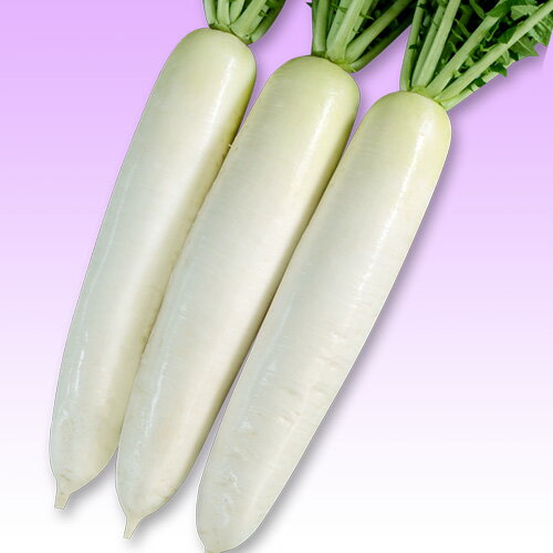 �դ��ʤ� ������5000γ �纬 �������� �������� �������� �ڴݼ� �� ���� ���ۡ͡��̾�5�� 5�ΤĤ����ϥݥ����10���оݳ����ʥݥ����3�ܸ��꾦�ʡ�