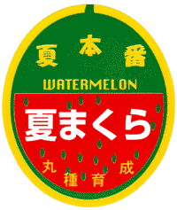 ユニークな外観！果肉のしまり・シャリ感に富むスイカ