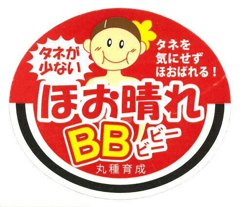 樂天商城 - ほお晴れBB 1000枚 スイカ すいか 西瓜【丸種 種 たね タネ】【通常5倍 5のつく日はポイント10倍対象外商品ポイント3倍固定商品】