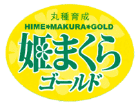 姫まくらゴールド シール 1000枚 スイカ すいか 西瓜【丸種 種 たね タネ】【通常5倍 5のつく日はポイ..