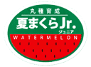 夏まくらJr. シール 1000枚 スイカ すいか 西瓜【丸種 種 たね タネ】【通常5倍 5のつく日はポイント10倍対象外商品ポイント3倍固定商品】