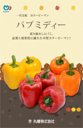 パプミディーオレンジ 100粒 ピーマン ぴーまん 一代交配　【丸種 種 たね タネ】【通常5倍 5のつく日はポイント10倍対象外商品ポイント3倍固定商品】