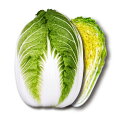 すて黄90 20ml 白菜 ハクサイ はくさい 宇治交配 【丸種 種 たね タネ】【通常5倍 5のつく日はポイント10倍対象外商品ポイント3倍固定商品】