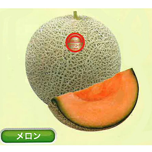 ・低温肥大性に優れ、ネットと食味の良い地這い用赤肉ネットメロン。 ・地這い向けメロンとしては盛り上がりのあるネットが均一に入り、見栄えのする外観です。 ・葉は中型、草勢は中位〜やや大人しめの品種です。 ・果型は正球形で、肥大が良く、トンネル作型の2本仕立て4果収穫で1.7〜1.9kgになります。 ・赤肉特有のクセがなく、食味の良い品種で、糖度は高く15〜16度に安定します。 ・熟期は6月収穫で53〜55日の中生種です。 メーカー在庫となります為、流動的となります メーカー確認後、すぐにご用意できない等の場合もございます。その際は予約対応となり別途御連絡させていただきます。申し訳ございませんが、ご了承の程よろしくお願いいたします。こちらは野菜のタネです