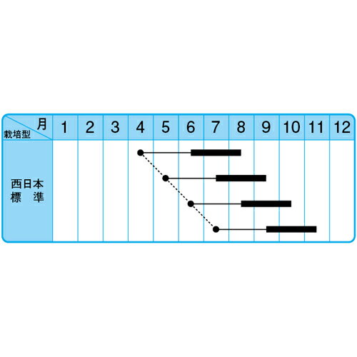 近成四葉2号 2dl きゅうり 胡瓜 【中原採種場 種 たね タネ 】【通常5倍 5のつく日...