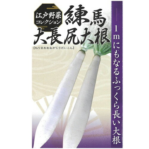 練馬大長尻大根 1dl 大根 ダイコン だいこん 【日本農