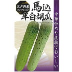 馬込半白胡瓜 100粒 胡瓜 キュウリ きゅうり 【日本農林社 種 たね タネ 】【通常5倍 5のつく日はポイント10倍】