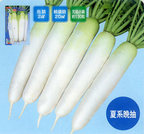 *�����ѡ��ƿ� 3L������5000γ�� �纬 �������� ��������ڥʥ�� �� ���� ���ۡ͡��̾�5�� 5�ΤĤ����ϥݥ����10�ܡ�