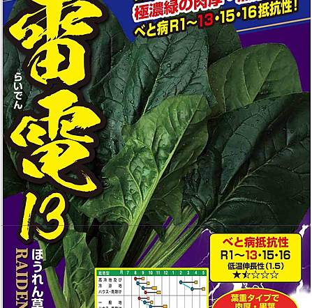乐天商城 - 雷電13 PRM3万粒 ほうれん草 法蓮草 ホウレンソウ ほうれんそう【ナント 種 たね タネ】【通常5倍 5のつく日はポイント10倍】
