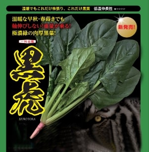 Rakuten - 黒虎 PRM3万粒 ほうれん草 法蓮草 ホウレンソウ ほうれんそう【ナント 種 たね タネ】【通常5倍 5のつく日はポイント10倍】