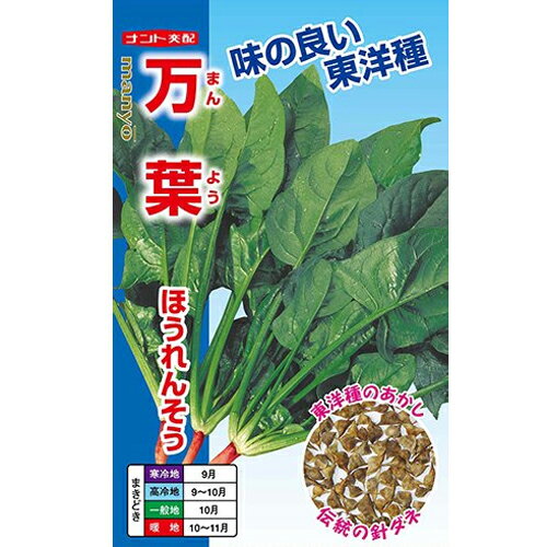 ・食味に定評のある東洋種（計ダネ）のF1品種 ・寒さに強いので、冬に収穫するのに最適です。 ・東洋種のため、春まきの作型には適しません。