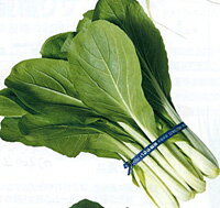 樂天商城 - f1大阪しろ菜 2dl しろ菜 シロナ しろな【ナント 種 たね タネ】【通常5倍 5のつく日はポイント10倍】