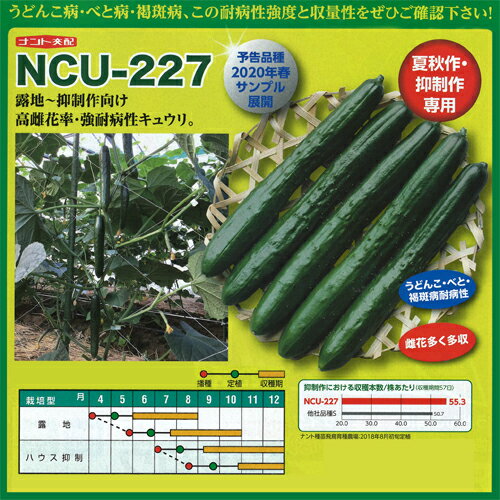 NCU-227 350粒 胡瓜 キュウリ きゅうり 【ナント 種 たね タネ 】【通常5倍 5のつく日はポイント10倍】