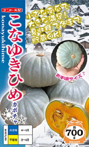 腐敗も少なく貯蔵性抜群夏に収穫して冬至まで美味しく貯蔵出来る