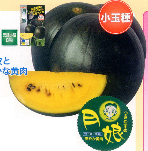 小玉　月娘 200粒 スイカ すいか 西瓜 【ナント 種 たね タネ 】【通常5倍 5のつく日はポイント10倍】