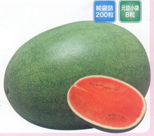 樂天商城 - 大玉　ジュニア 200粒 スイカ すいか 西瓜 【ナント 種 たね タネ 】【通常5倍 5のつく日はポイント10倍】