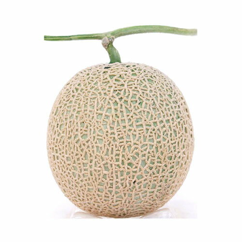 緑肉　アールスムーラン夏1 100粒 めろん メロン 舐瓜 【ナント 種 たね タネ 】【通常5倍 5のつく日はポイント10倍】