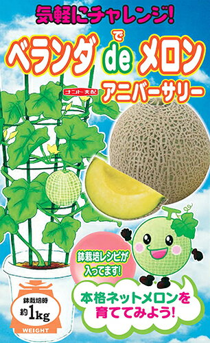 緑肉 アニバーサリー ベランダdeメロン 100粒 めろん メロン 舐瓜 【ナント 種 たね タネ 】【通常5倍 5のつく日はポイント10倍】