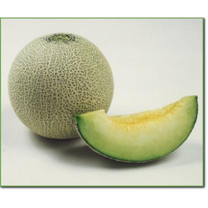 キスミー2号改良 100粒 めろん メロン 舐瓜【シード 種 たね タネ 】【通常5倍 5のつく日はポイント10倍】