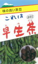 盆茶豆(早生茶豆) 1DL 