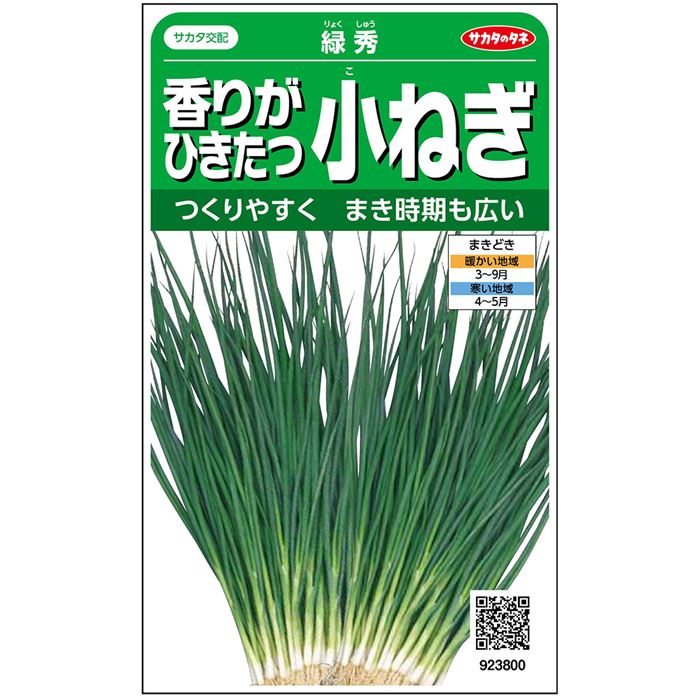 ・耐暑性、耐寒性があり、一年中いつでもまける。低温伸長性がよいため、特に秋〜春まきに能力を発揮する。 ・葉鞘基部の膨らみが少なく、収穫調整作業が容易。 ・荷姿がきれいで市場性が高い。香りがよく、食味良好。 ・葉先の枯れが非常に少なく、日持ちがよい。