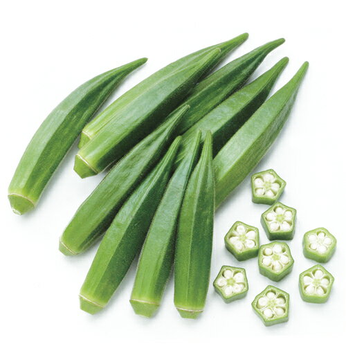 ずーっとみどり 1万粒 オクラ おくら 【サカタ 種 たね タネ】【通常5倍 5のつく日はポイント10倍】