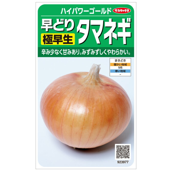 ・早くに収穫できる極早生種です。 ・球は250〜300gになります。 ・辛みが少なく甘みがあり、肉厚でみずみずしく柔らかい、おいしいタマネギです。