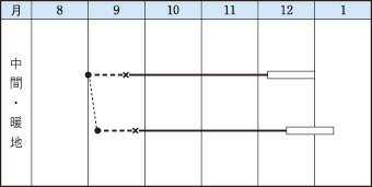 新あづま山東白菜(しんあづま) タキイ交配 20ml 白菜 ハクサイ はくさい【タキイ ...