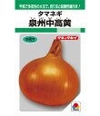 泉州中高黄大玉葱 1L 玉ねぎ たまねぎ 玉葱 タマネギ【タキイ 種 たね タネ】【通常5倍 5のつく日はポイント10倍】