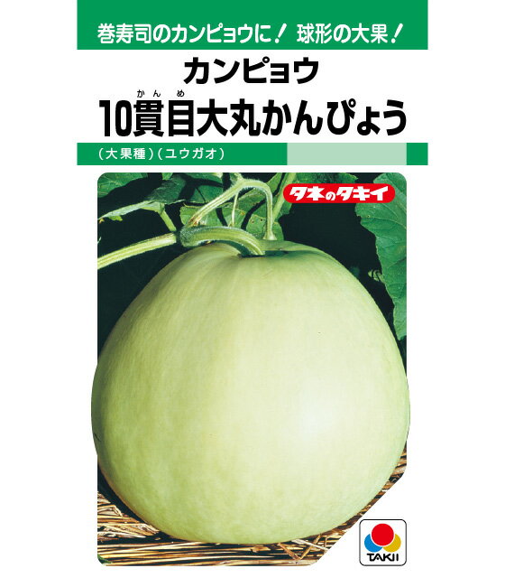 十貫目大丸かんぴょう 100粒100r 干瓢 カンピョウ かんぴょう