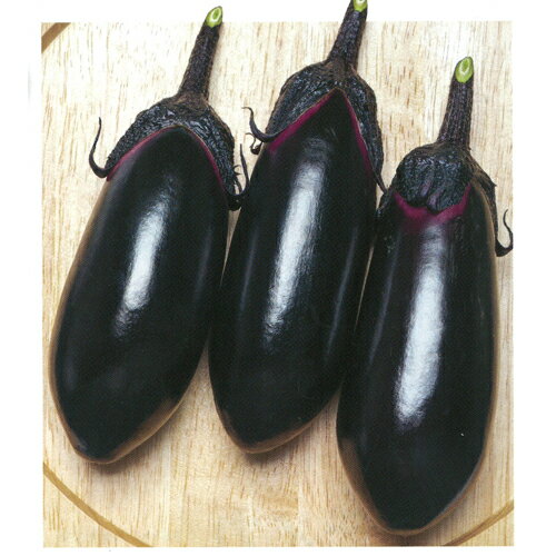 PC鶴丸 1000粒 タキイ交配 ナス なす 茄子【タキイ 種 たね タネ】【通常5倍 5のつく日はポイント10倍】